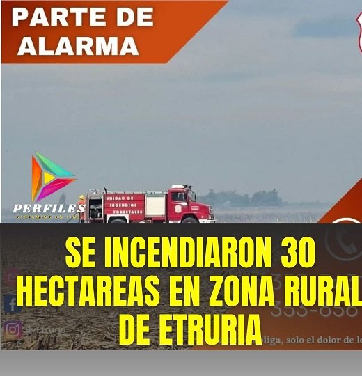 Imagen Noticia