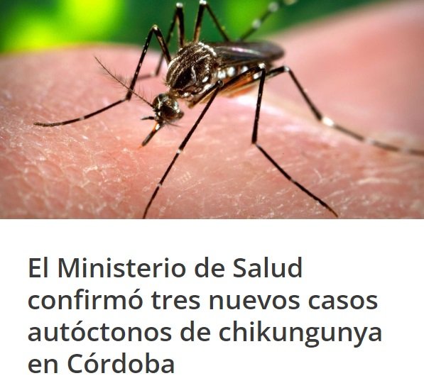 Imagen Noticia