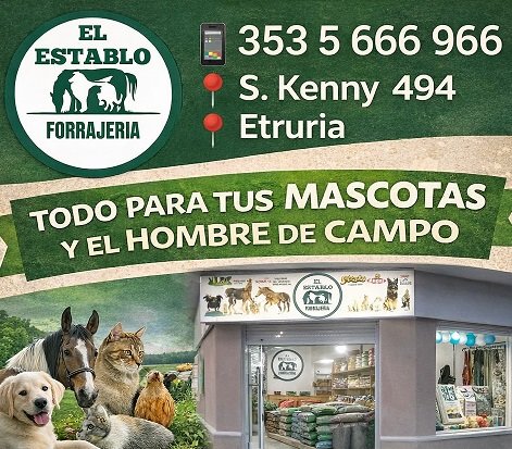 Publicidades