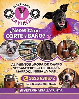Publicidades